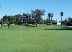 10th Green